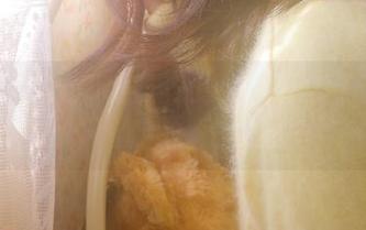 想收藏吗？女生最爱91吃瓜黑料背后的真实故事