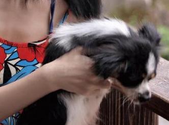 探访www..51cg1.com，最全吃瓜新闻网址导航一站式服务