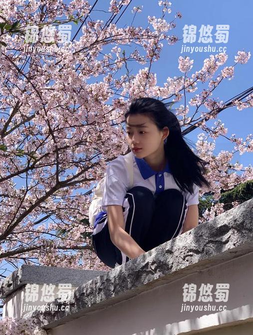 zzzttt 最新最热事件实时更新,zzzttt.07直达娱乐圈第一现场