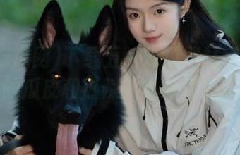 下载五一吃瓜网站官网入口，免费的瓜皮和热辣八卦简直让人心馋！