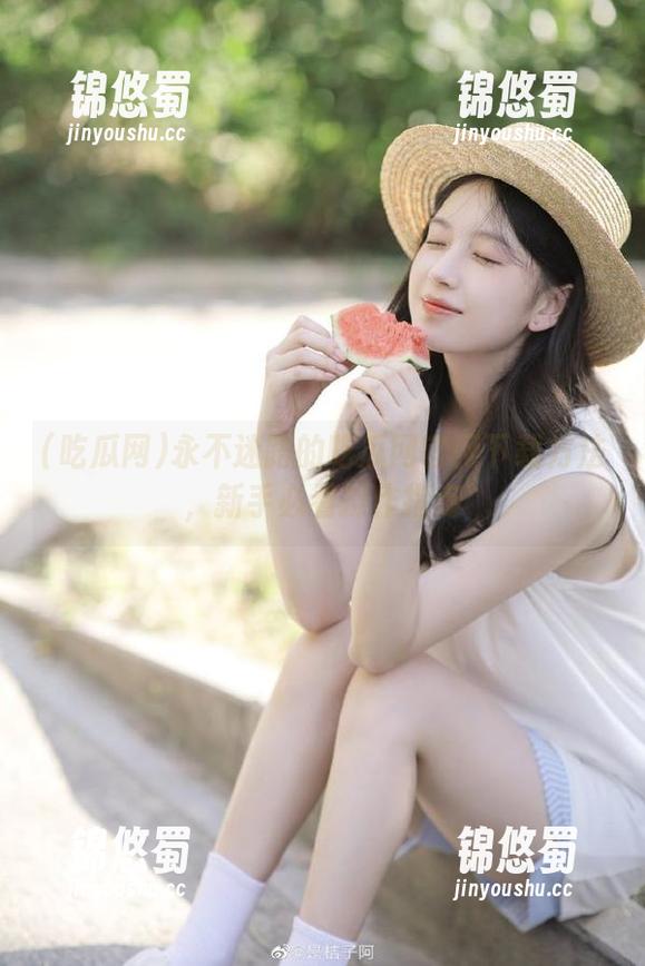 吃瓜网 永不迷路的吃瓜网官网下载方法,新手必看操作指南