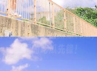 探索“zztt31.ccm黑料不打烊”苹果版，跟随最新黑料走，成为朋友圈的吃瓜先锋！