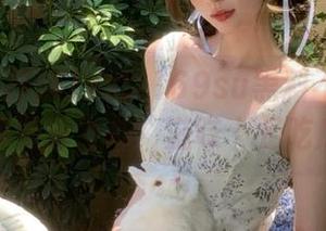 zztt169su黑料不打烊官网独家资源发布，滋味十足吃瓜体验