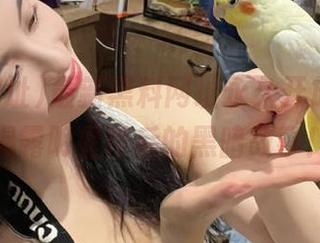 最新黑料网址永久开放，尽情揭露明星背后的黑暗故事！